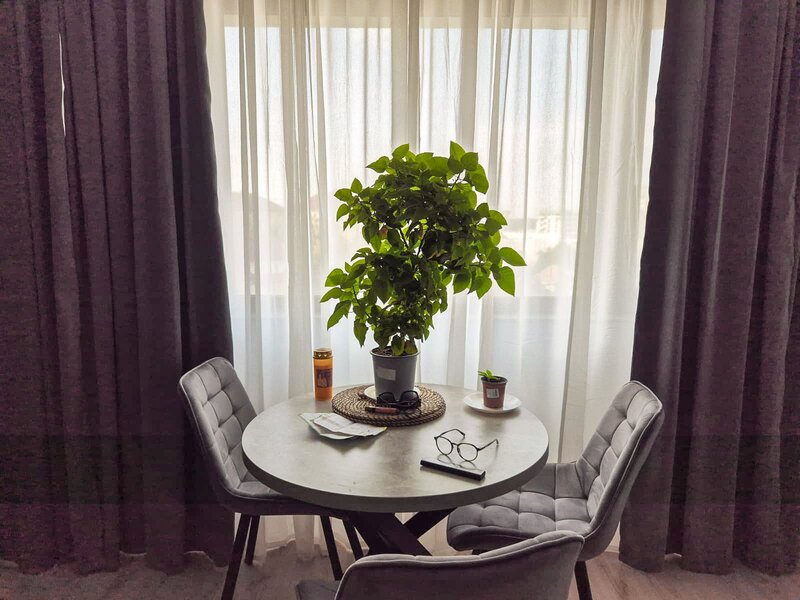 Pipera 2 camere rond OMV  nou Ivory premium dog friendly